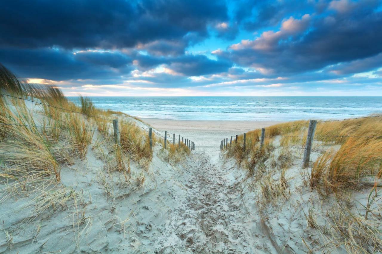 Maison Rue De La Mer Zandvoort Zewnętrze zdjęcie